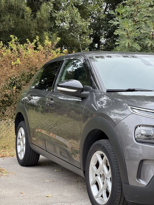 C4 Cactus 1.2 de 2019