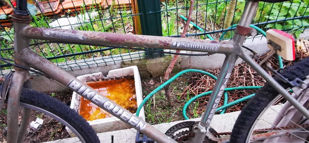 Bicicleta de mountain bike