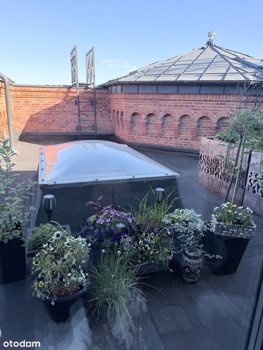 Mieszkanie loft u Scheiblera  75m2