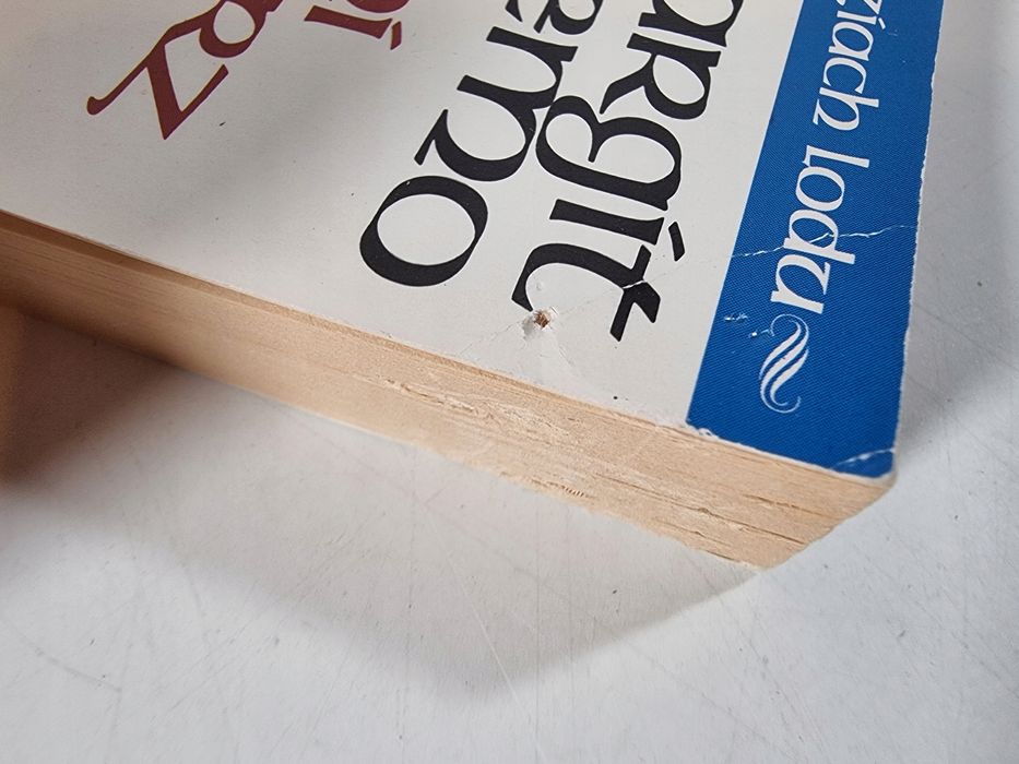 Saga o Ludziach Lodu 1-35 / bez tomu 25 / Margit Sandemo