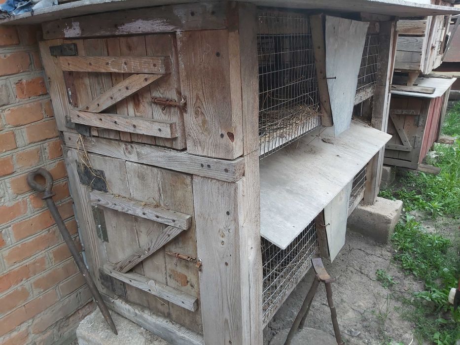 Клітки для кролів