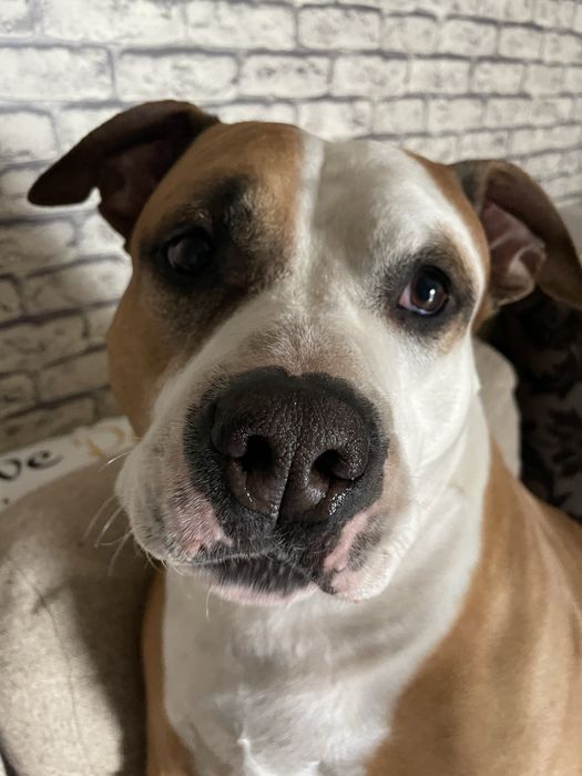 Prosimy o pomoc cala Polska