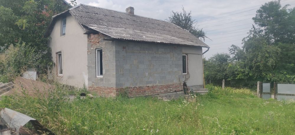 Будинок з ділянкою Товсте