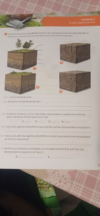 Caderno do aluno ciências 5to ano