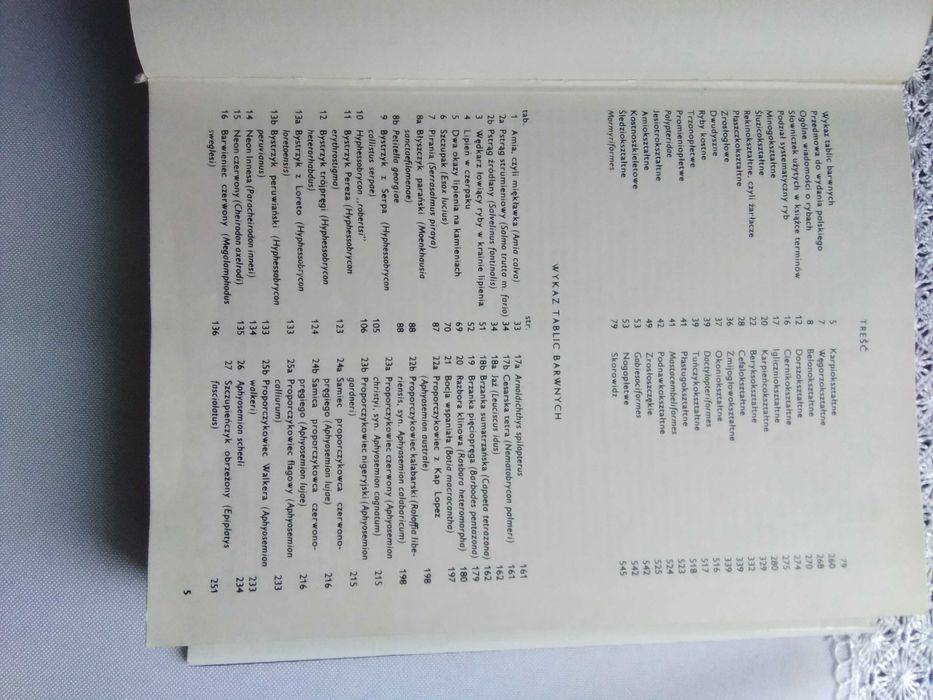 Wielki atlas ryb Stanislav Frank