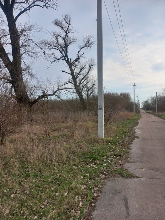 Продам земельну ділянку в Затишному