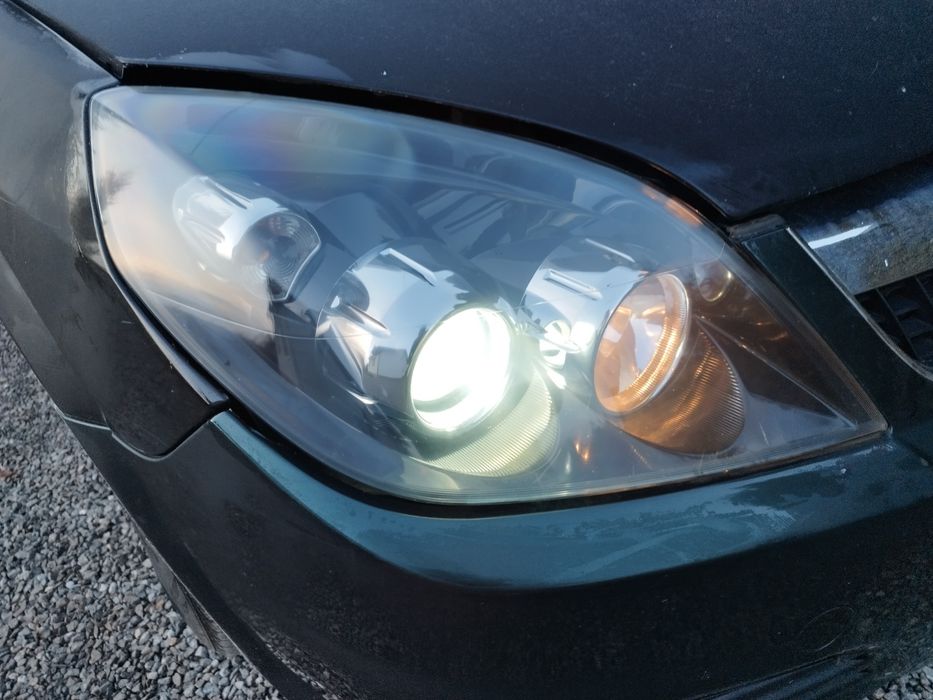 Xenon bixenon Vectra signum