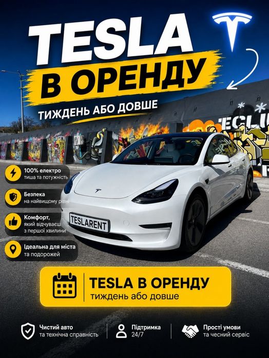 Візьму під керування автопарк електромобілі Tesla Zeekr Honda Byd бізнес з прокату авто