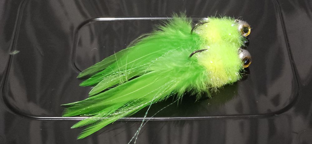 Koguty Sandaczowe Ł.W.Kocury