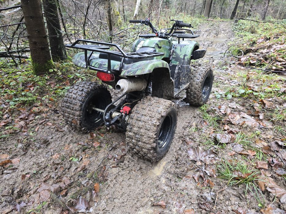 Shineray 250 / 4+1 manual / wyciągarka / pług do śniegu / zadbany
