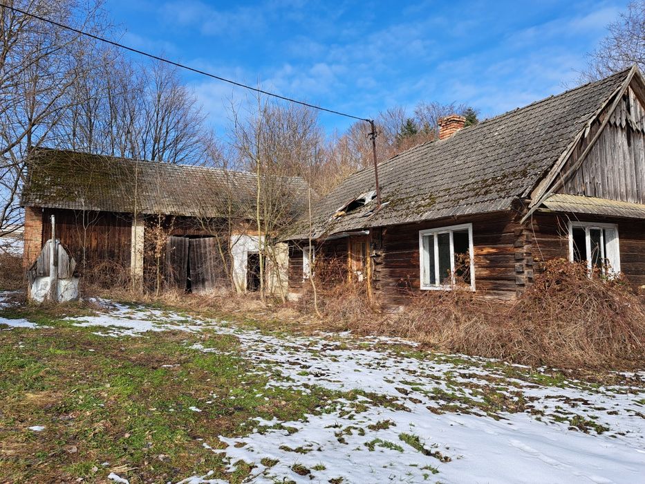 Na sprzedaż działka 45 ar z drewnianym domem i budynkiem gospodarczym – piękna okolica pod lasem - Widok 5
