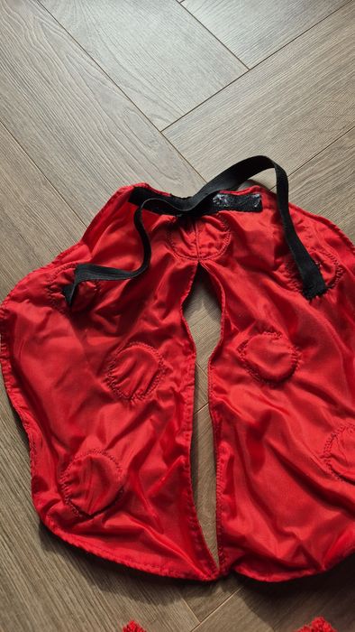 Stroj biedronki 1,5 roku/ 2 latka