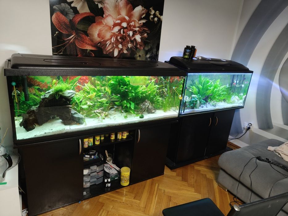 Akwarium 375 litrów + 240 l z osprzętem