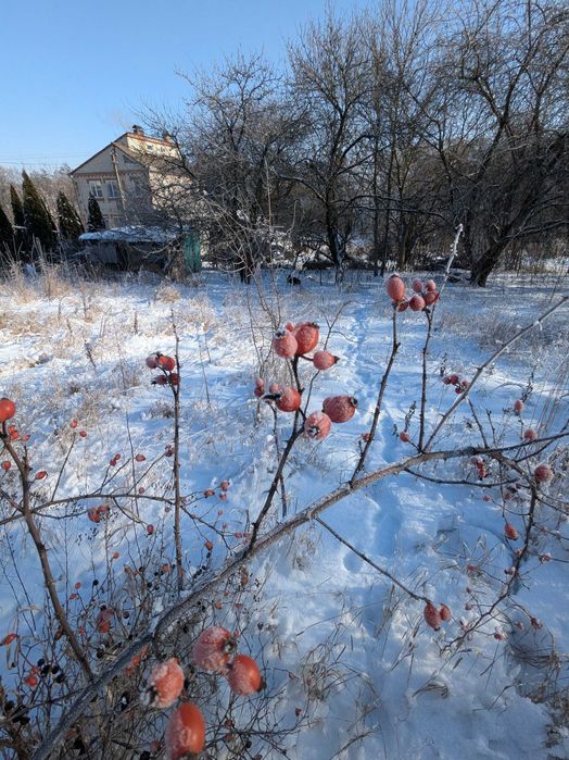 Земельна ділянка, продаж, 10сот., 28тис