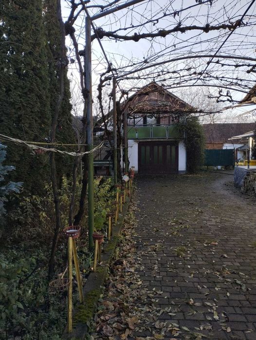 Продам будинок 100 м² у с. Великі Береги, 6 км від Берегова — 55 000 $