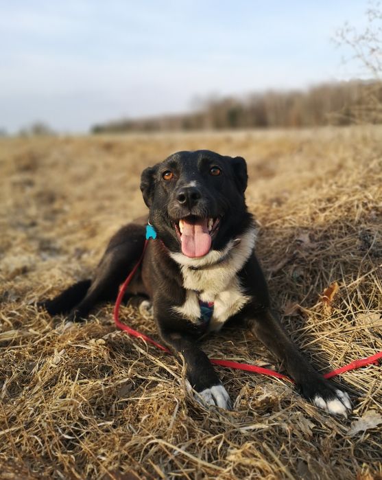 Zocha dla wyjątkowej osoby