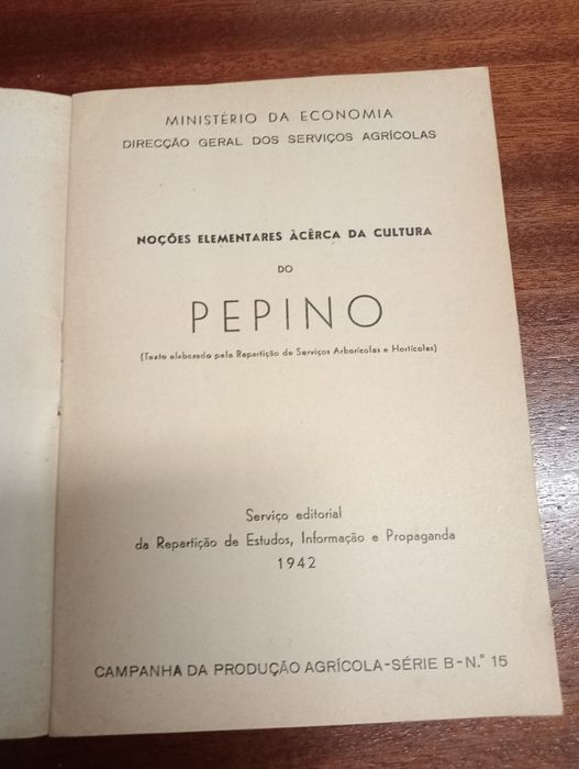 Cultura do alho, melão, batata, abóbora e pepino