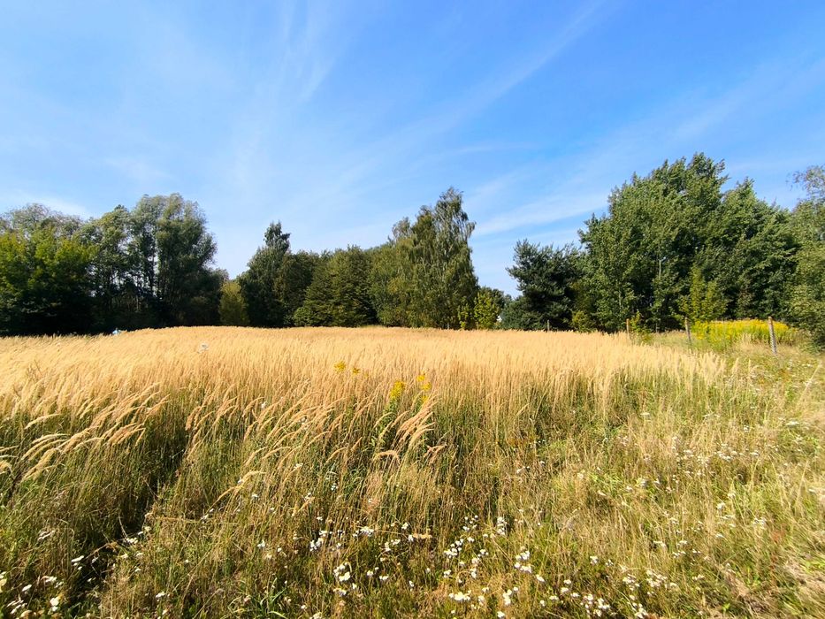 Działka usługowa 2000 m² MPZP, Kobylin k. Grójca - bez warunków zabudowy
