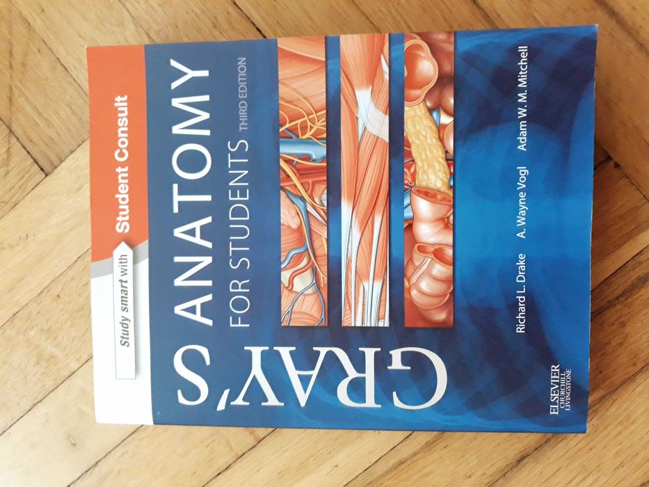 NOWA Anatomia Grey'a (angielski) na MEDYCYNĘ