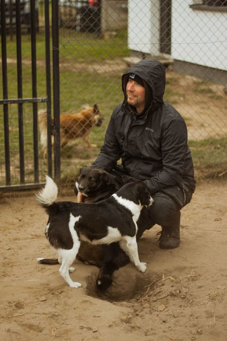 Zdzisława młoda, kochana suczka szuka domu! | MASZ NOSA