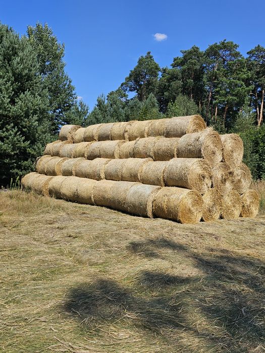 Słoma bele 120cm