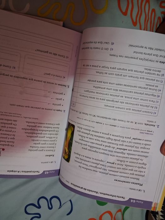 Vamos 2o ano praticar +