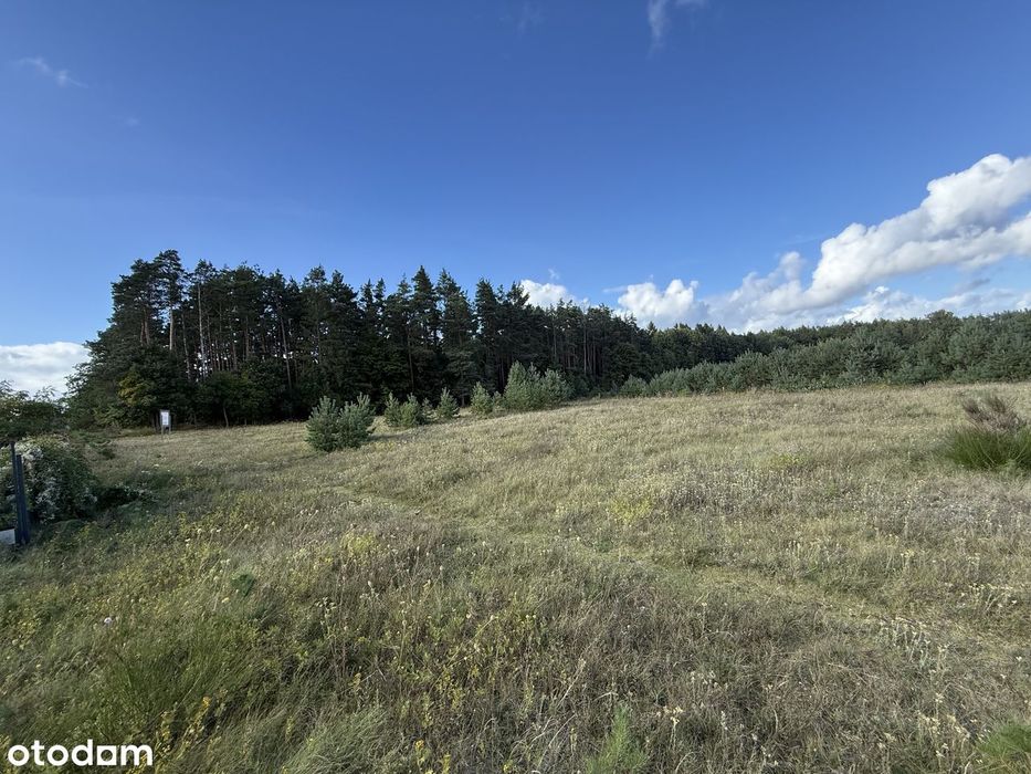 Działka budowlana Bojano 1849 m² - Widok 4