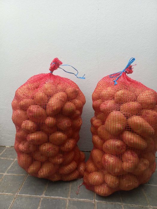 Batata Nova Picasso