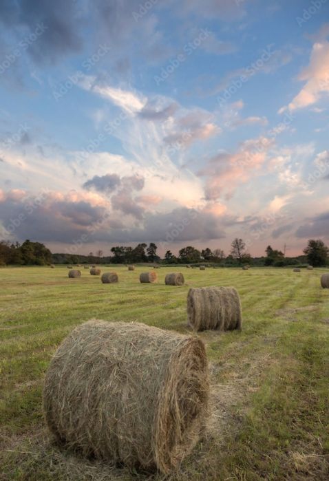Siano dla królików 4kg