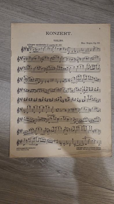 Max Reger Violin koncert op.101 nuty