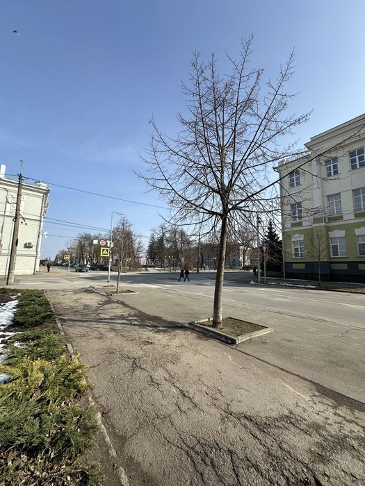 **ЦЕНТР! 37 кв.м. Сучасне Планування! Район Площі