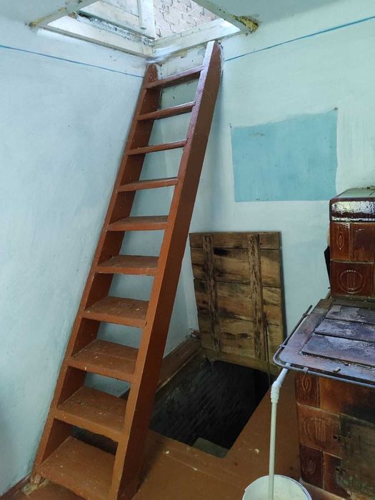 Житловий будинок та земельна ділянка 35 сот., с. Мальчиці