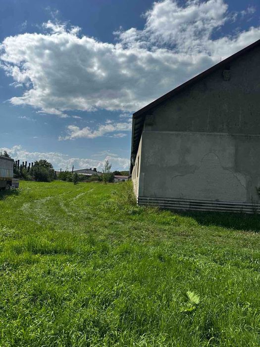 Здається в оренду комерційне приміщення в с. Рокосово