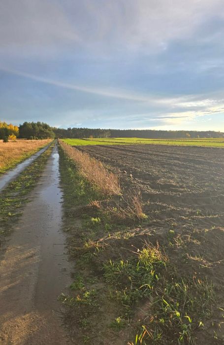 Działka w Barkowicach - Twój dom blisko lasu I Zalewu!! - Widok 4