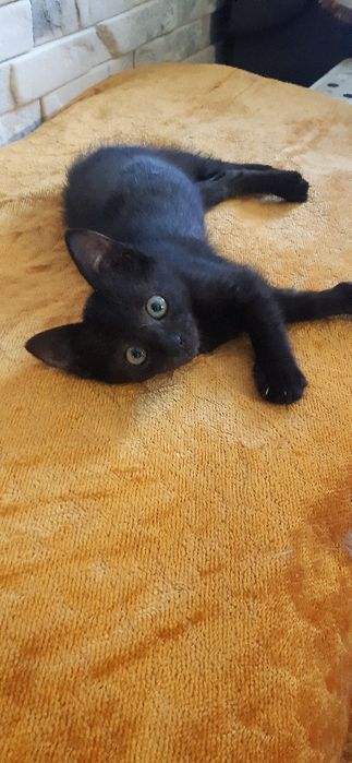 Маленький хлопчик