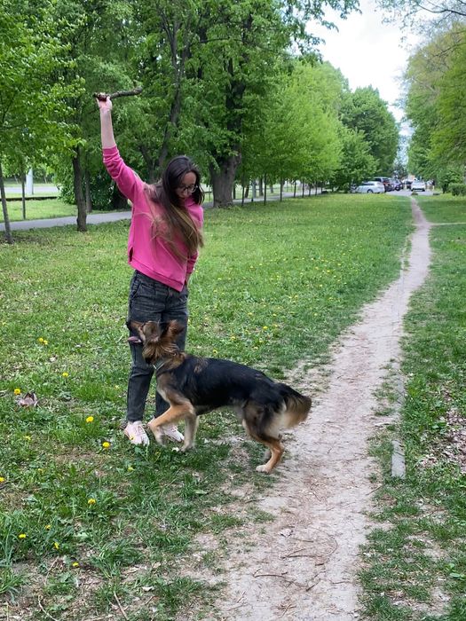 Перетримка ваших тварин з любовью, котики та інші, зооперетримка