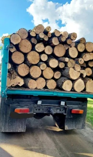 Дрова дубові напряму з лісу, швидка доставка, 3-5-6-10-26.5 м3
