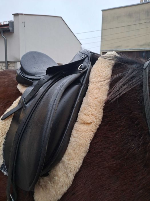 Siodlo ujeżdżeniowe ANKY