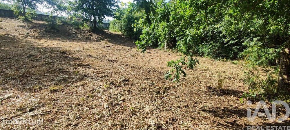 Terreno em Romarigães