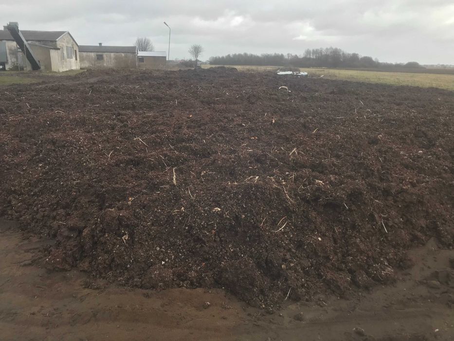 Obornik kurzy  [Kurzak]