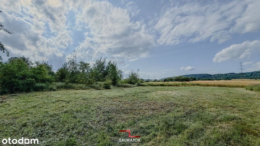 Działka 24,5 ar Żbik Krzeszowice