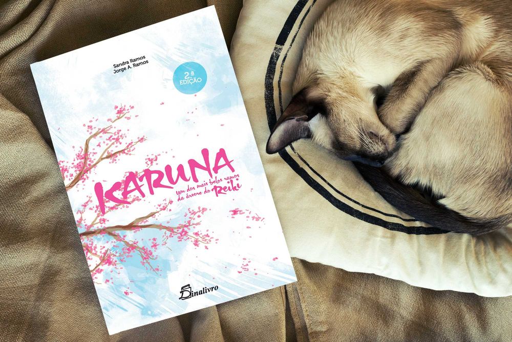 Livro Karuna - Um dos mais belos ramos da árvore do Reiki