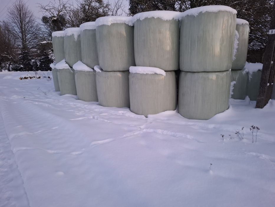 Bele sianokiszonki baloty