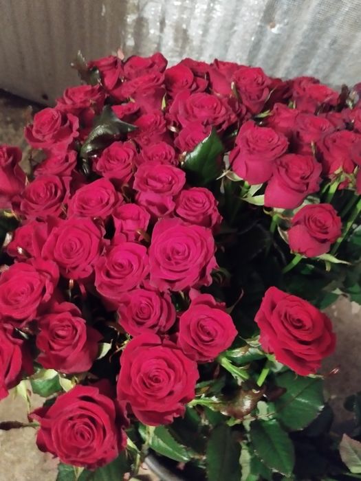 Роза ,цветы букеты опт розница