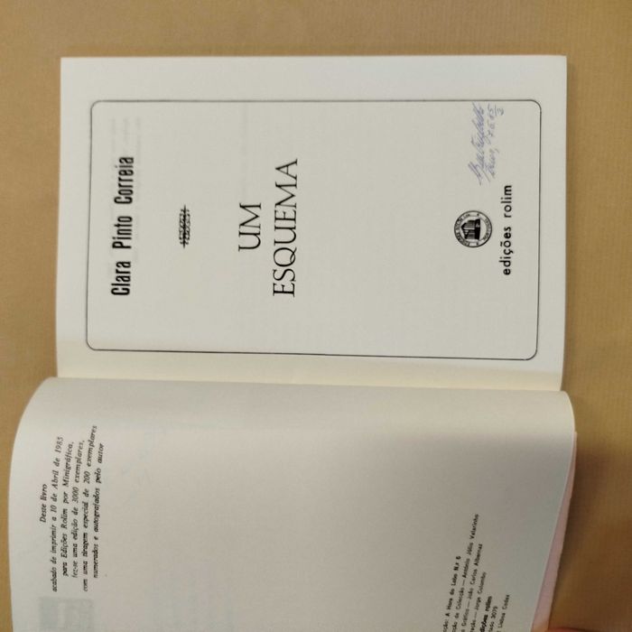 Um Esquema - Clara Pinto Correia