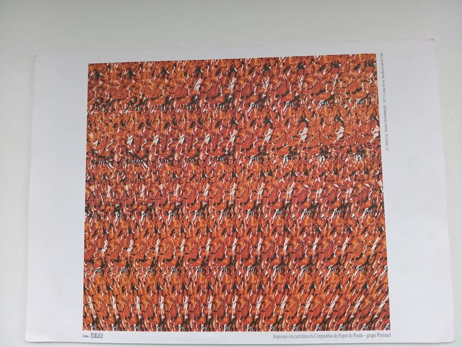 Auto-estereogramas 3D anos 90 – coleção Jornal Público (Magic Eye)
