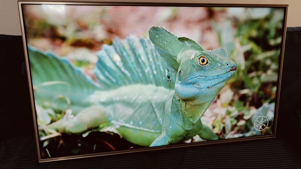 Smart tv 49cali z Wi-Fi i DVB-T2 matryca 100hz