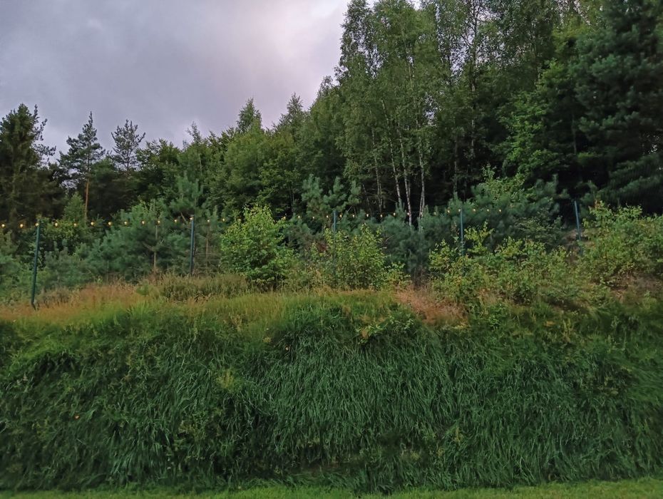 Wolny termin Domeku  na Święta i Sylwester