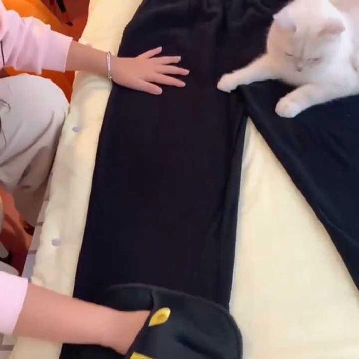 Luva removedora de pelos