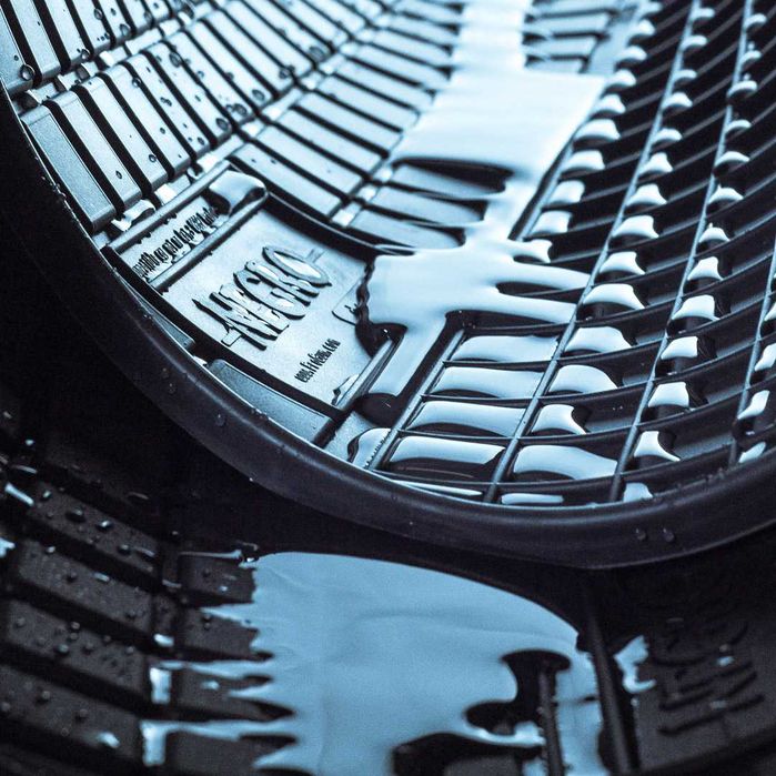 Килимки в салон на ВСІ АВТО --Резинові Модельні -- Польша -- FROGUM